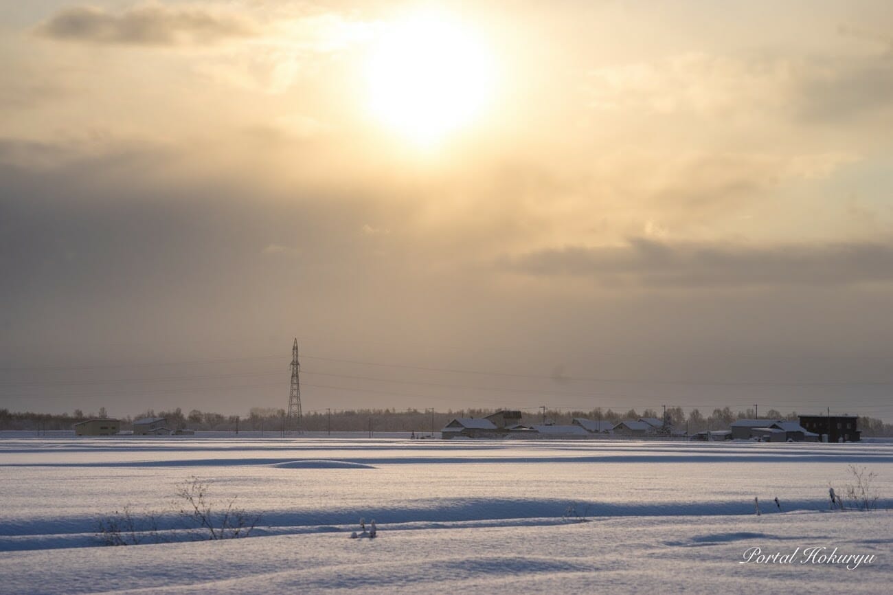 あたたかく柔らかな光