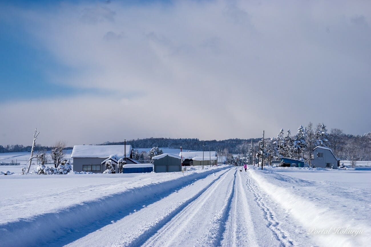 雪の農道を散歩する人