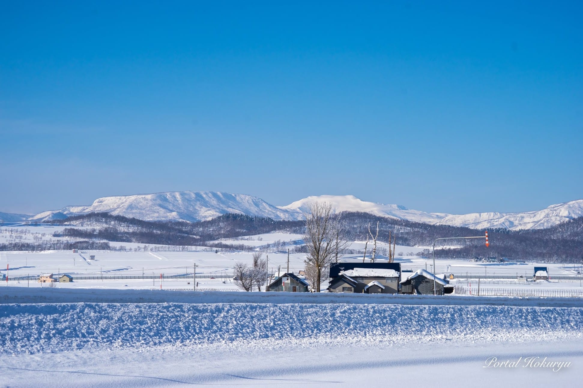 蒼と白の冬景色