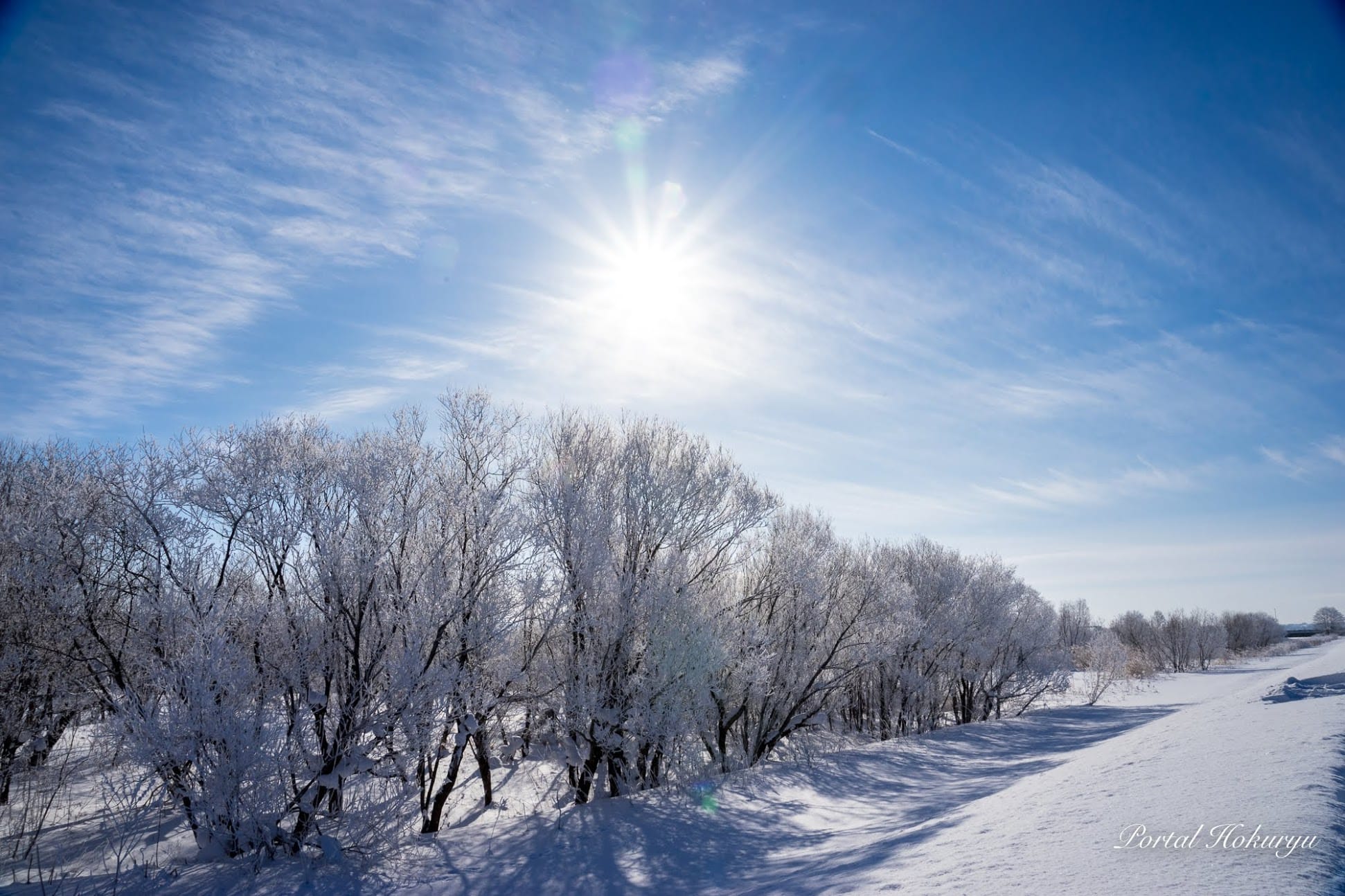 節分に切なる想いをこめて