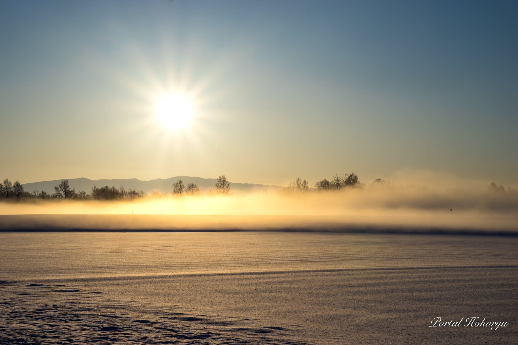 黄金に染まる朝霧