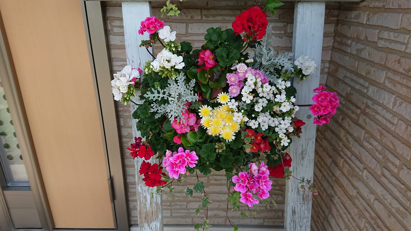 北竜町長 佐野豊 活動報告・2月14日（金）第4回ひまわり油再生協議会