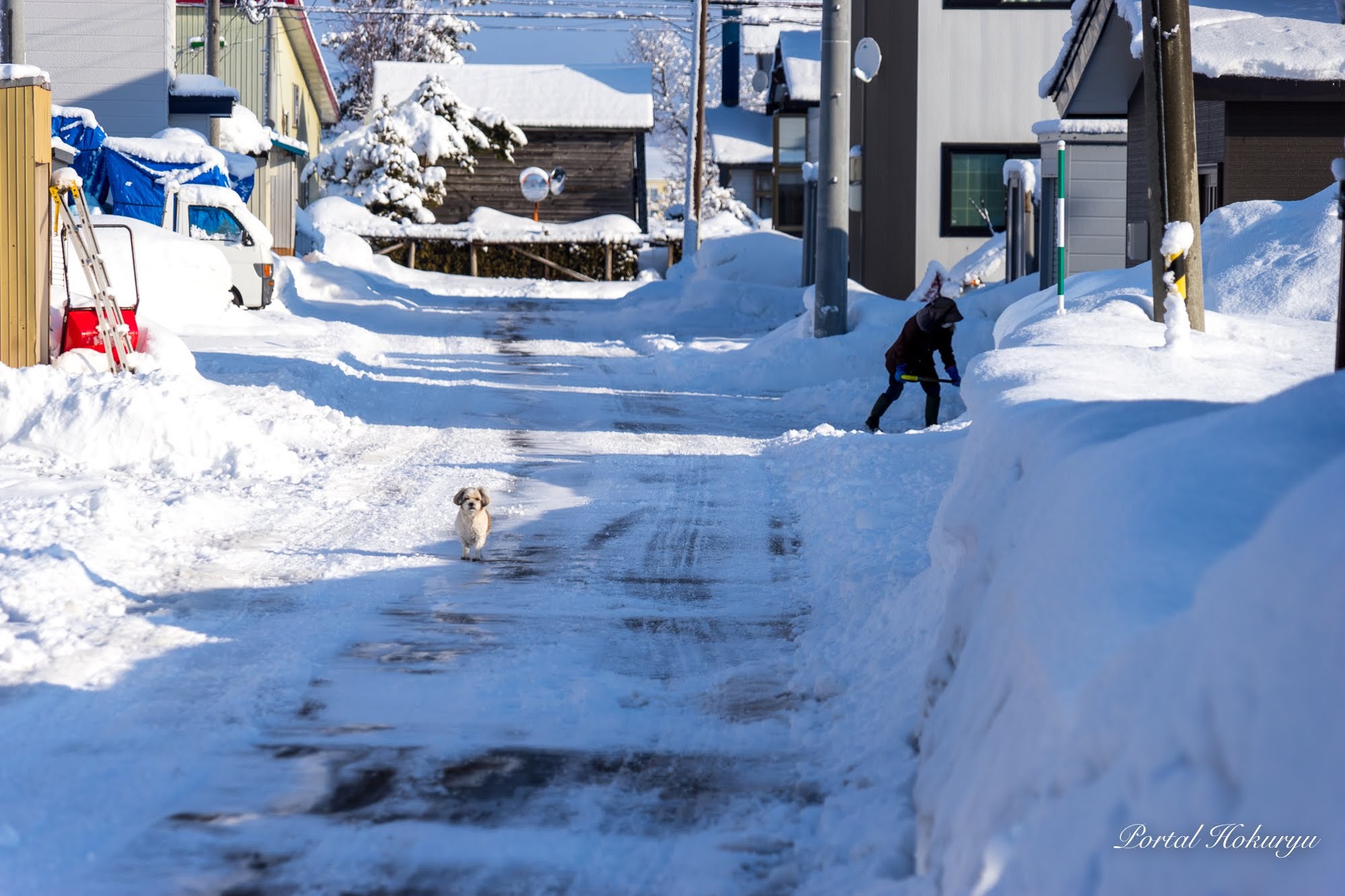 Xúc tuyết từ ngõ sau