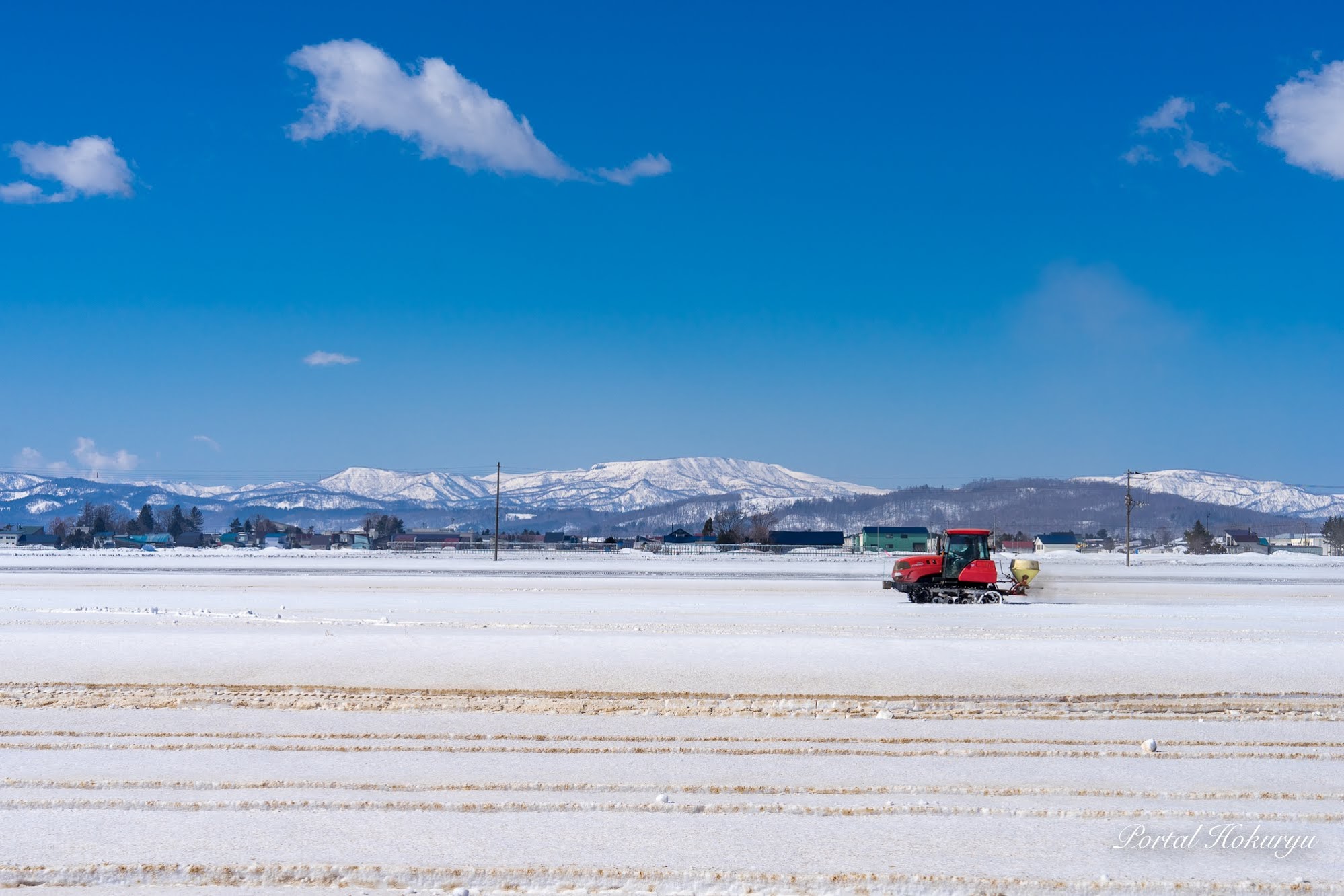 雪原に描かれていく春模様！