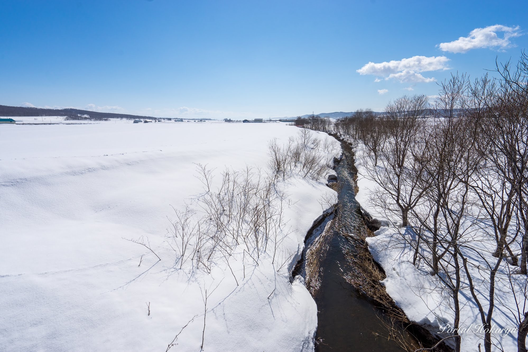 北海道の雪 北海道で大雪や吹雪続く 豪雪地帯の倶知安町で北海道最多の積雪