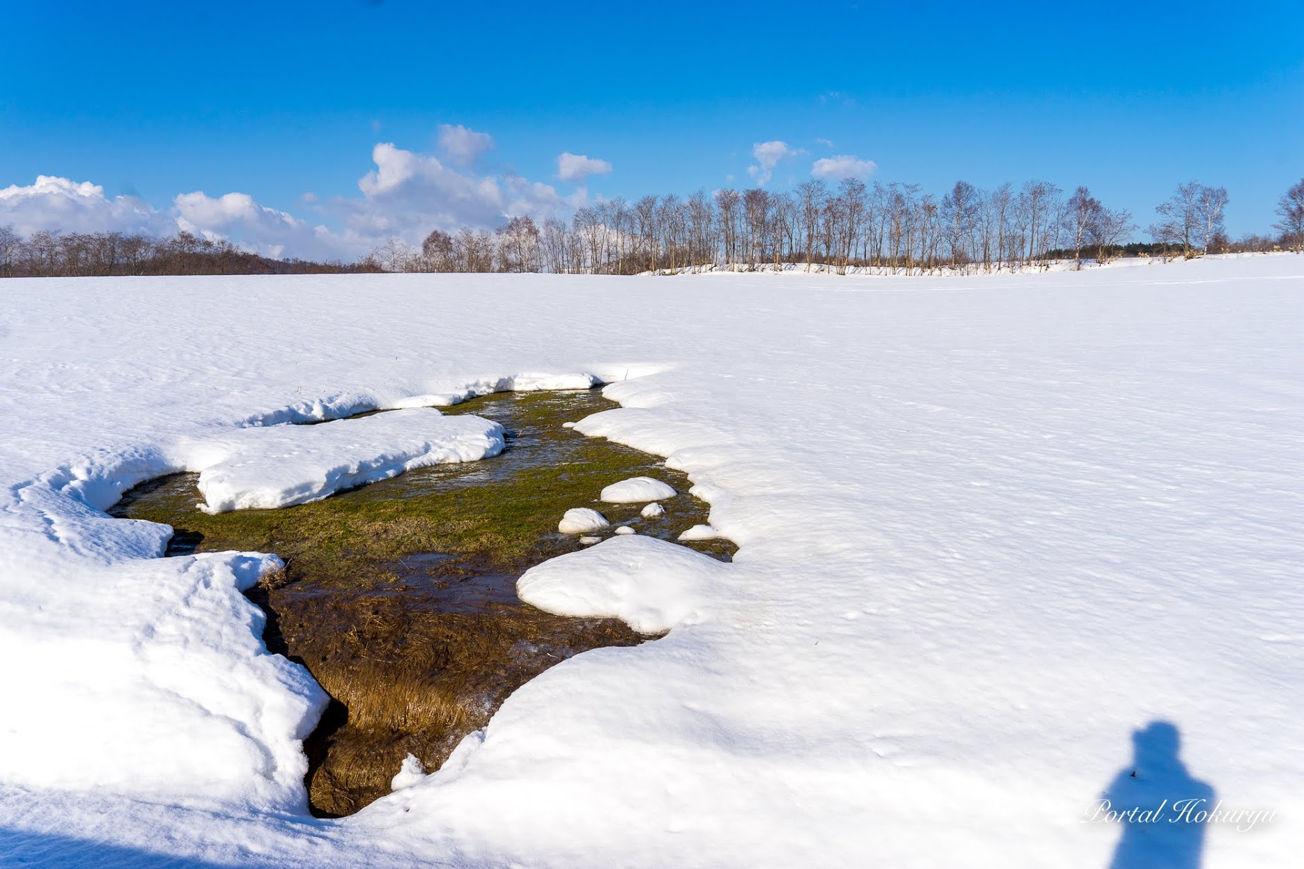 ひまわりの里の雪解け
