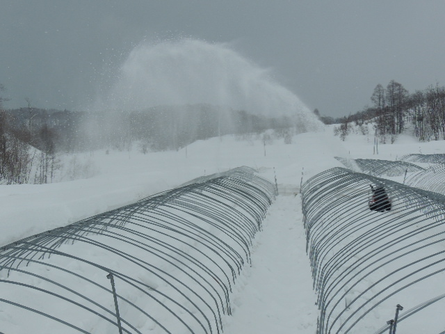 マメに生きよう【扉をひらいて・尾崎圭子さん】