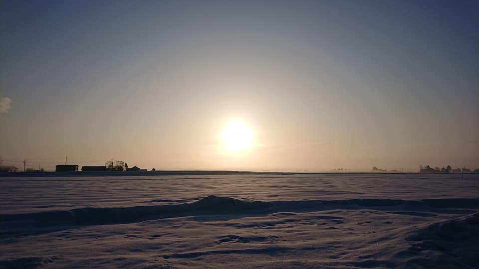 北竜町長 佐野豊 活動報告・3月17日（火）新型コロナウイルス感染症対策会議