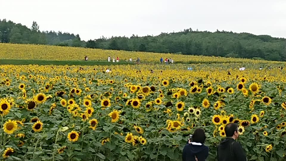 北竜町長 佐野豊 活動報告・3月25日（水）終日事務書類整理