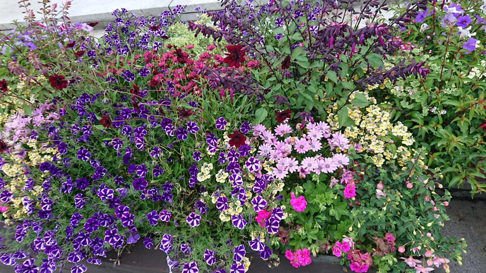 北竜町長 佐野豊 活動報告・3月27日（金）総務省地域創造アドバイザーと懇談