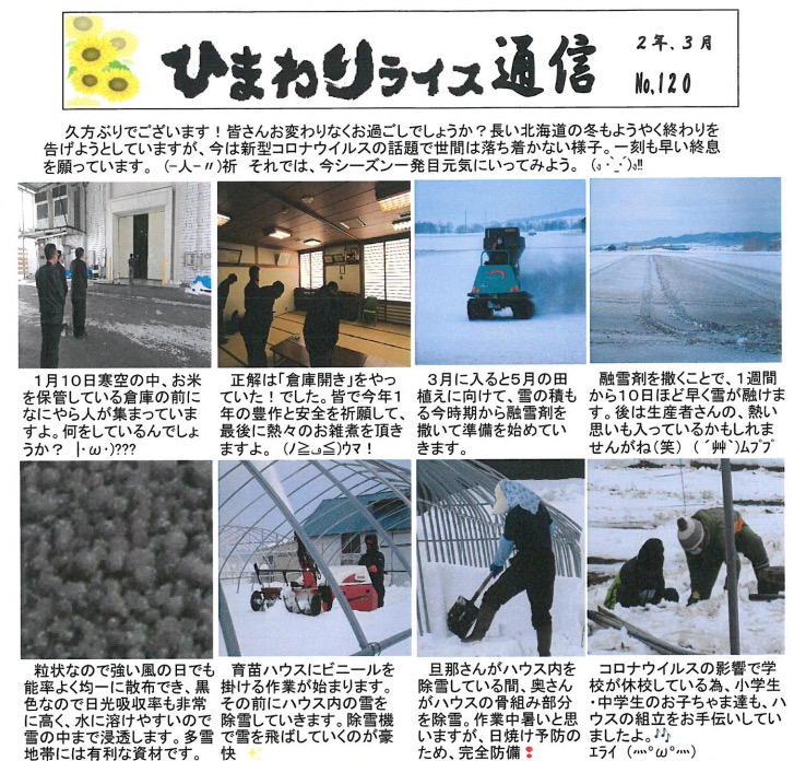Bản tin gạo hướng dương số N0.120 (số tháng 3) [Chi nhánh JA Kitasorachi Hokuryu]