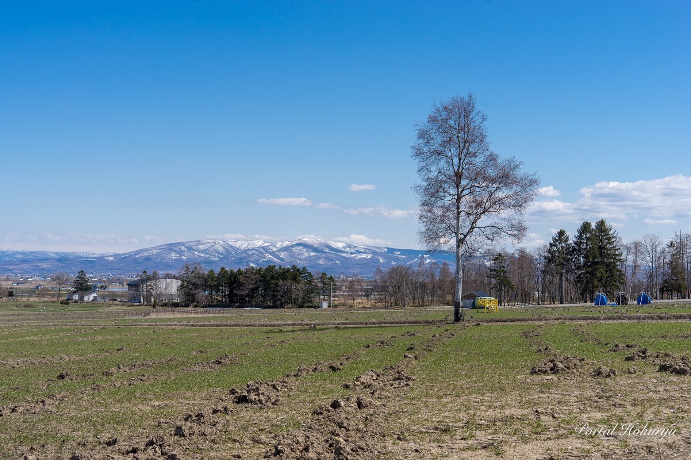 春を待つひまわりの里