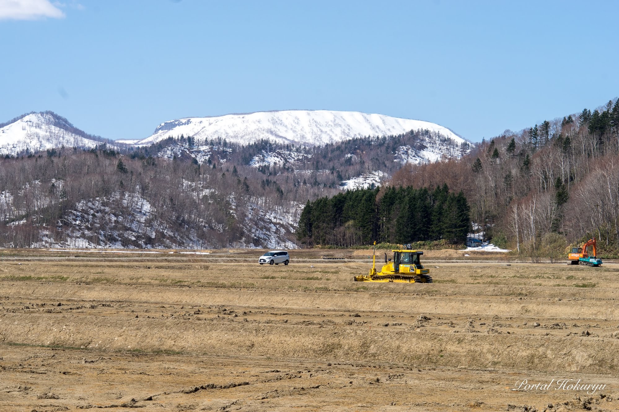 生命力あふれる季節到来！