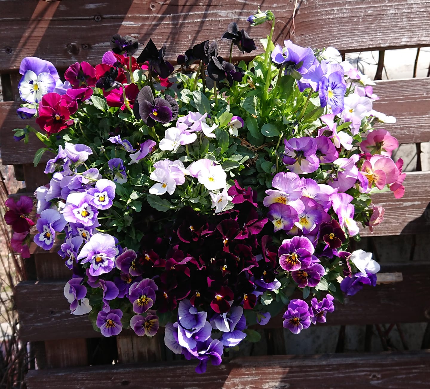 北竜町長 佐野豊 活動報告・4月22日（水）北竜温泉コロナウイルス対策協議