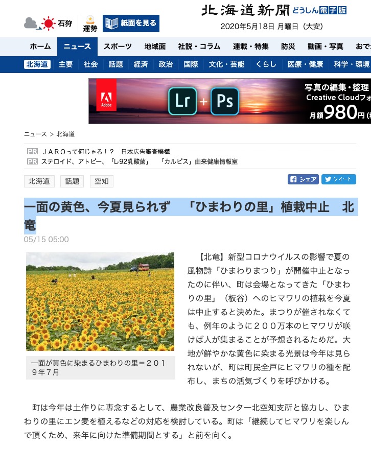 一面の黄色、今夏見られず「ひまわりの里」植栽中止 北竜【北海道新聞】