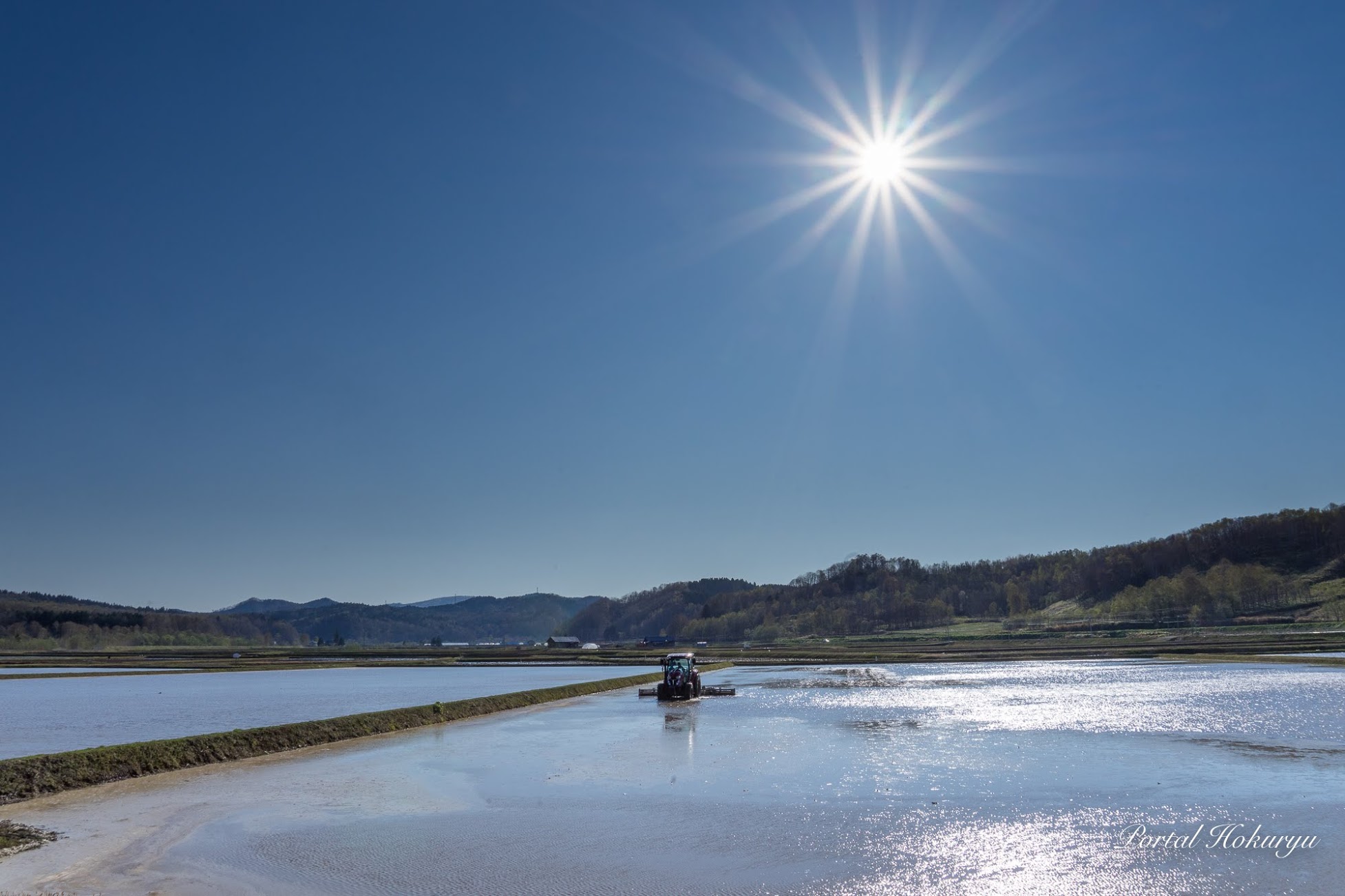 生命溢れる光のパワー