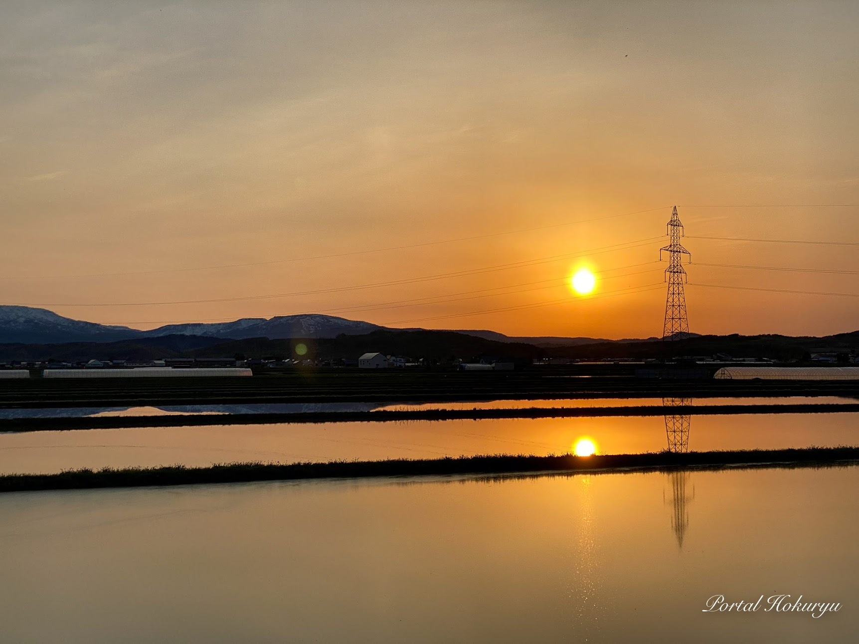 Pirinç tarlalarına yansıyan gün batımı