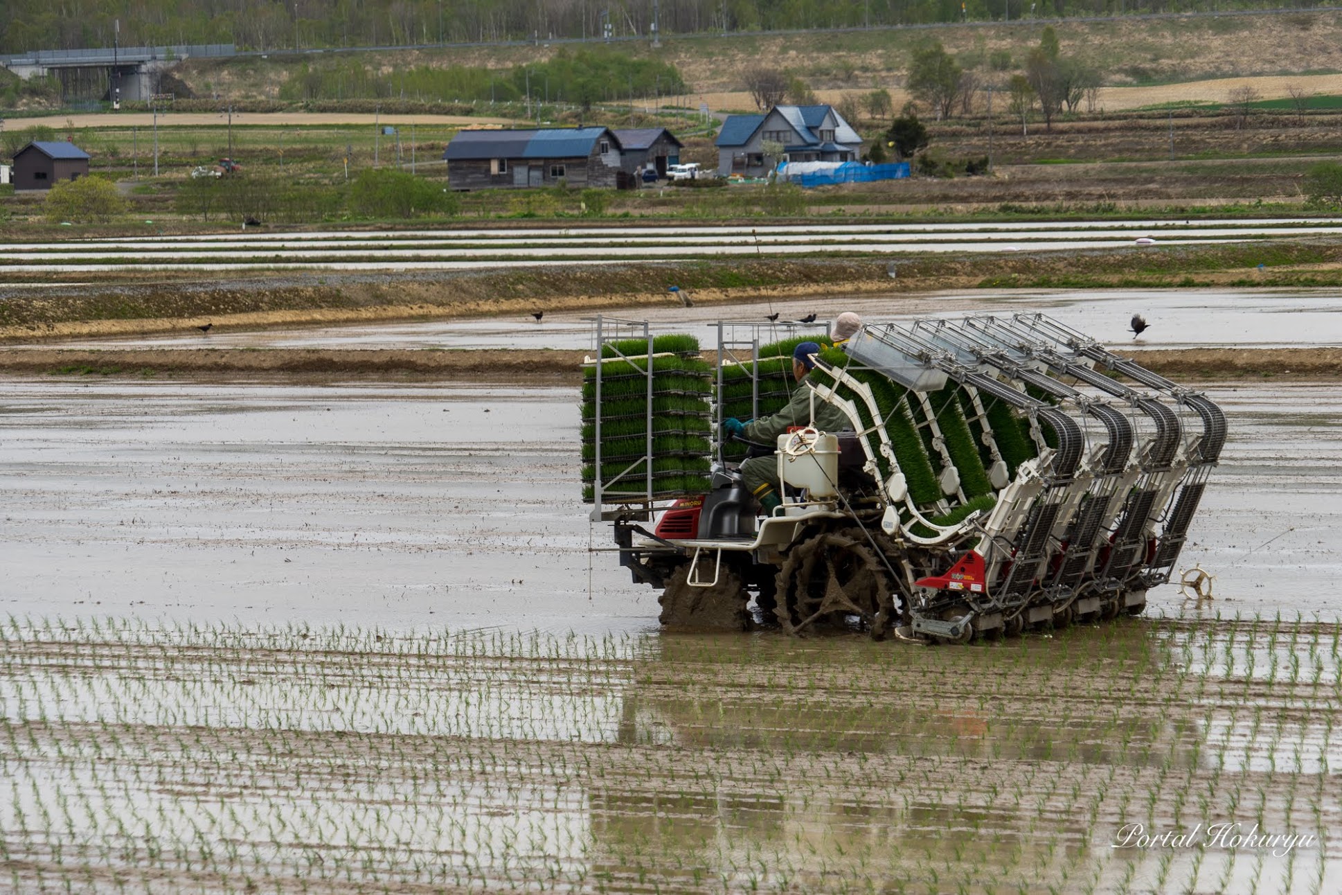 田植えスタート！