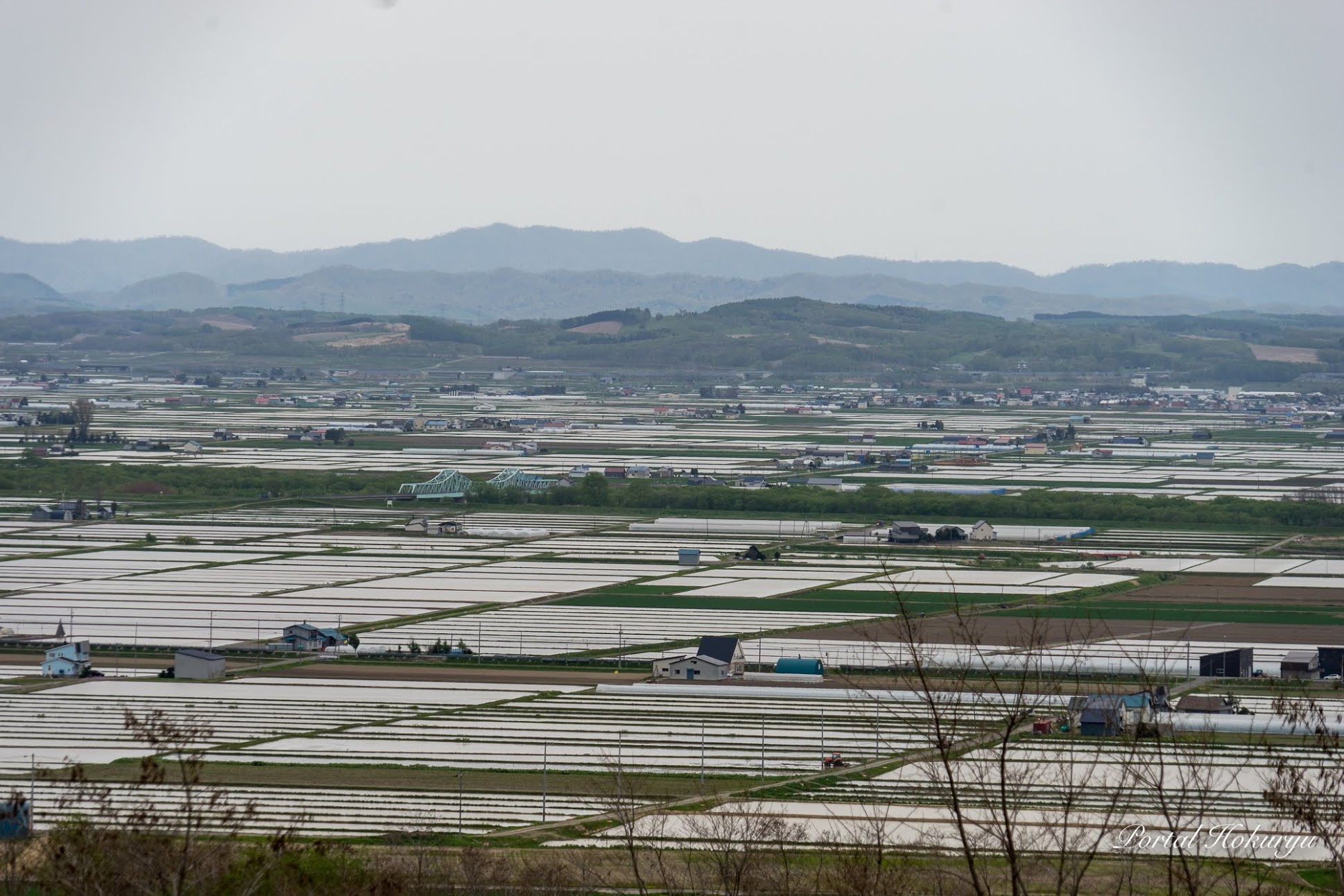 水満ちる水田風景