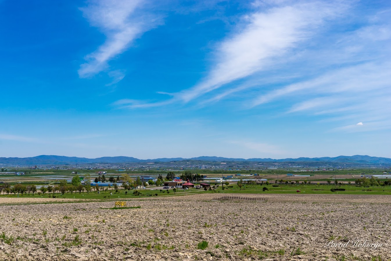 Membajak Desa Bunga Matahari
