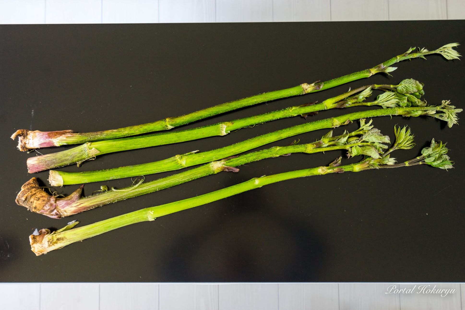 春の野の恵みに感謝をこめて！