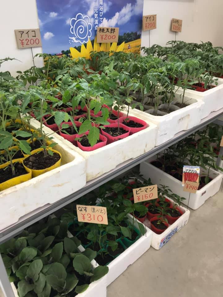 みのりっち北竜プレオープンです【みのりっち北竜】