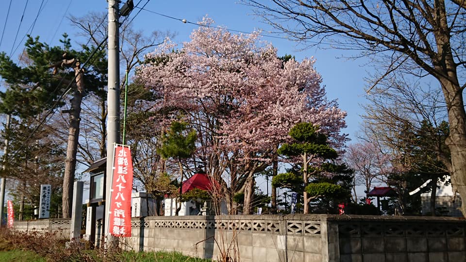 北竜町長 佐野豊 活動報告・5月8日（金）感染症地方創生臨時交付金協議