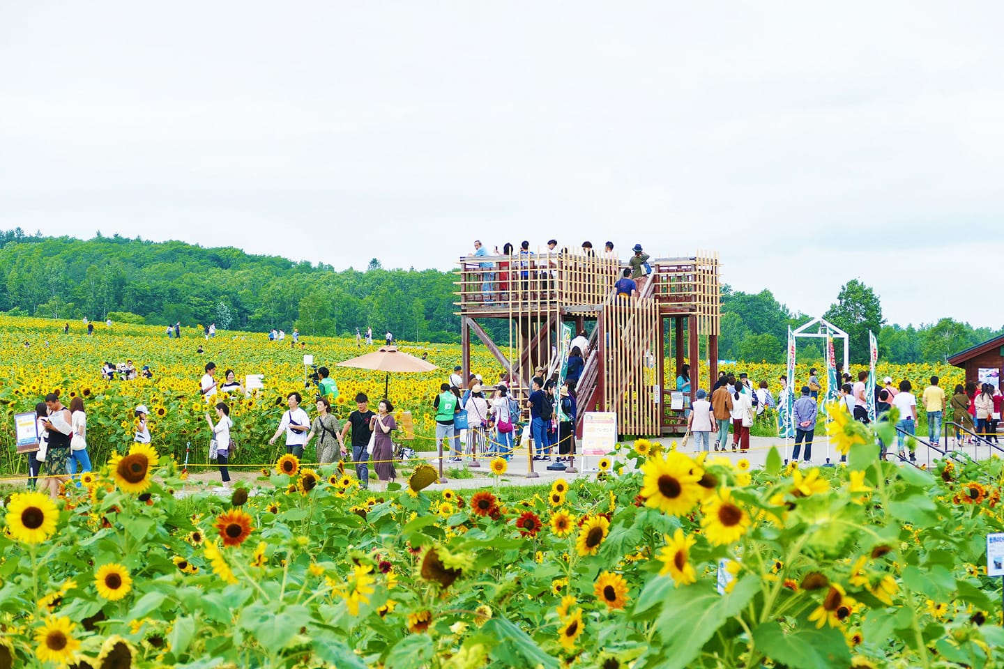 北竜町長 佐野豊 活動報告・5月13日（水）終日職員と打ち合わせ・事務書類整理
