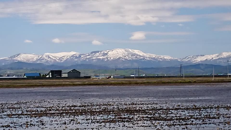 北竜町長 佐野豊 活動報告・5月14日（木）新型コロナウイルス感染症対策会議