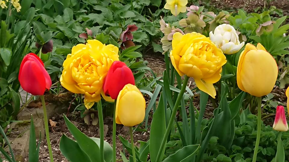 北竜町長 佐野豊 活動報告・5月20日（水）終日職員と打ち合わせ・事務書類整理