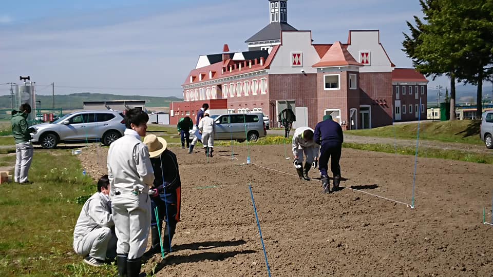 北竜町長 佐野豊 活動報告・5月22日（金）町職員で北竜温泉の裏に「世界のひまわりの種」植えました