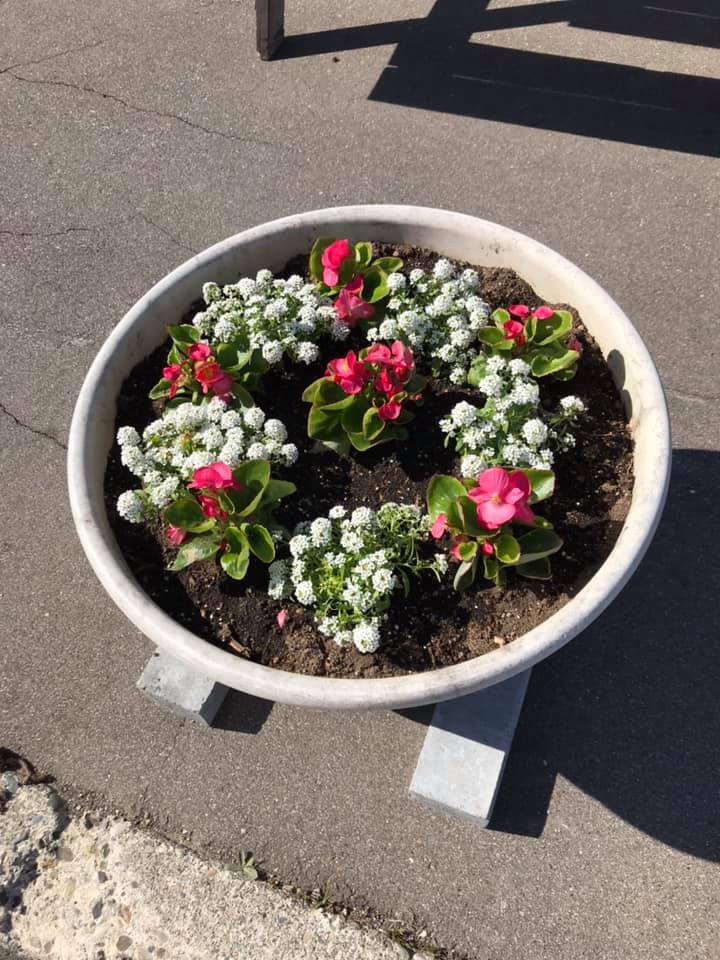 5月22日（金）今年のコンテナの花を植えました【みのりっち北竜】