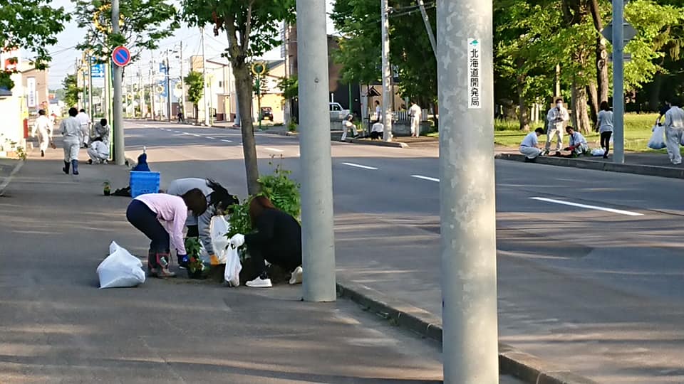 北竜町長 佐野豊 活動報告・6月3日（水）北竜町役場一心会 環境美化奉仕作業