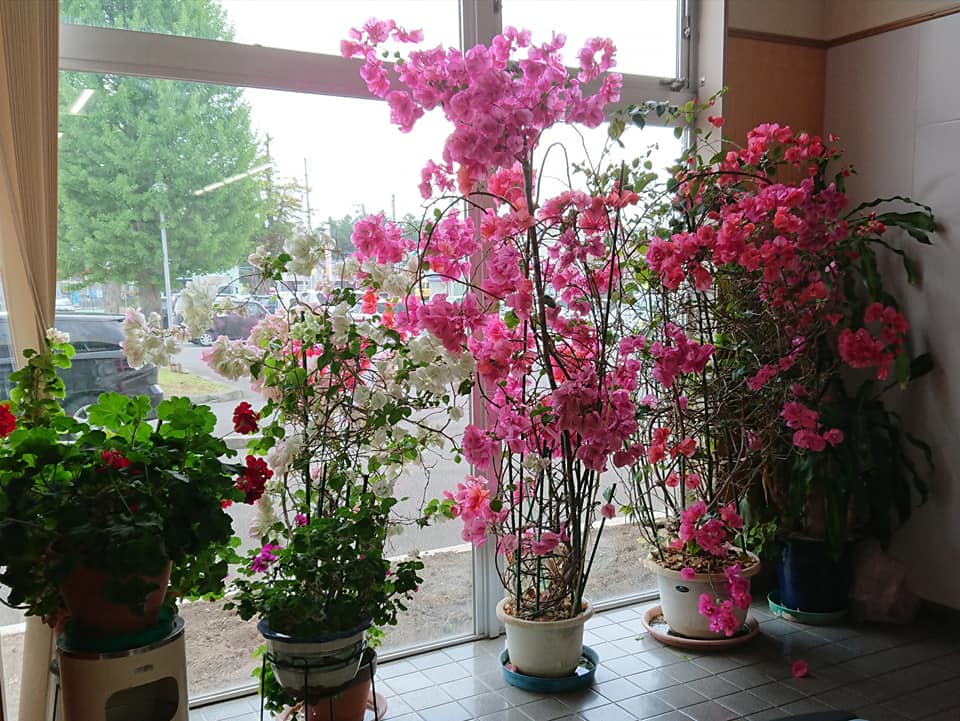 北竜町長 佐野豊 活動報告・6月9日（火）第２次臨時交付金に係る事業協議