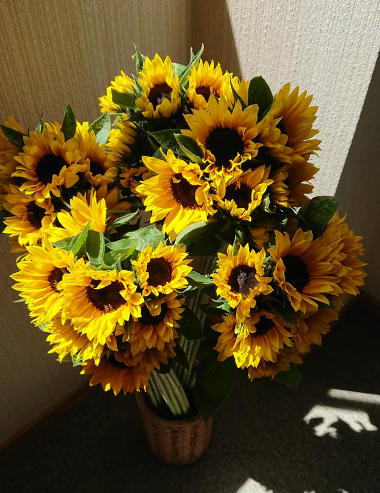 北竜町長 佐野豊 活動報告・6月4日（木）北空知町長会総会