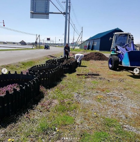 組合では国道沿いに新しく花壇を作りひまわりを植えました【黒千石事業協同組合】