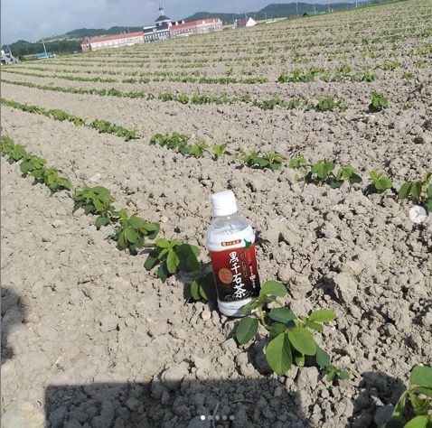 Sürekli büyüdüğünü görmek beni mutlu ediyor🎵 [Kurosengoku İş Kooperatifi Derneği]