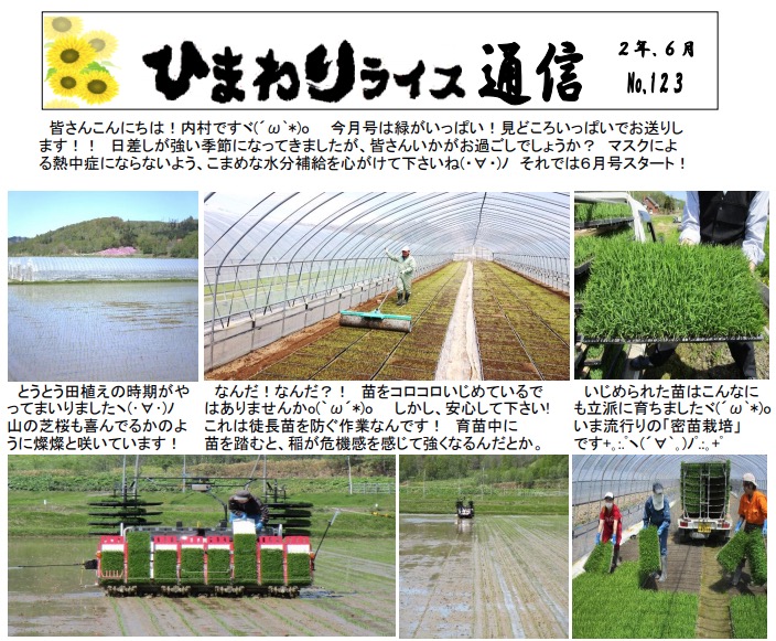 ひまわりライス通信 No.123・令和2年6月【ＪＡきたそらち北竜支所】