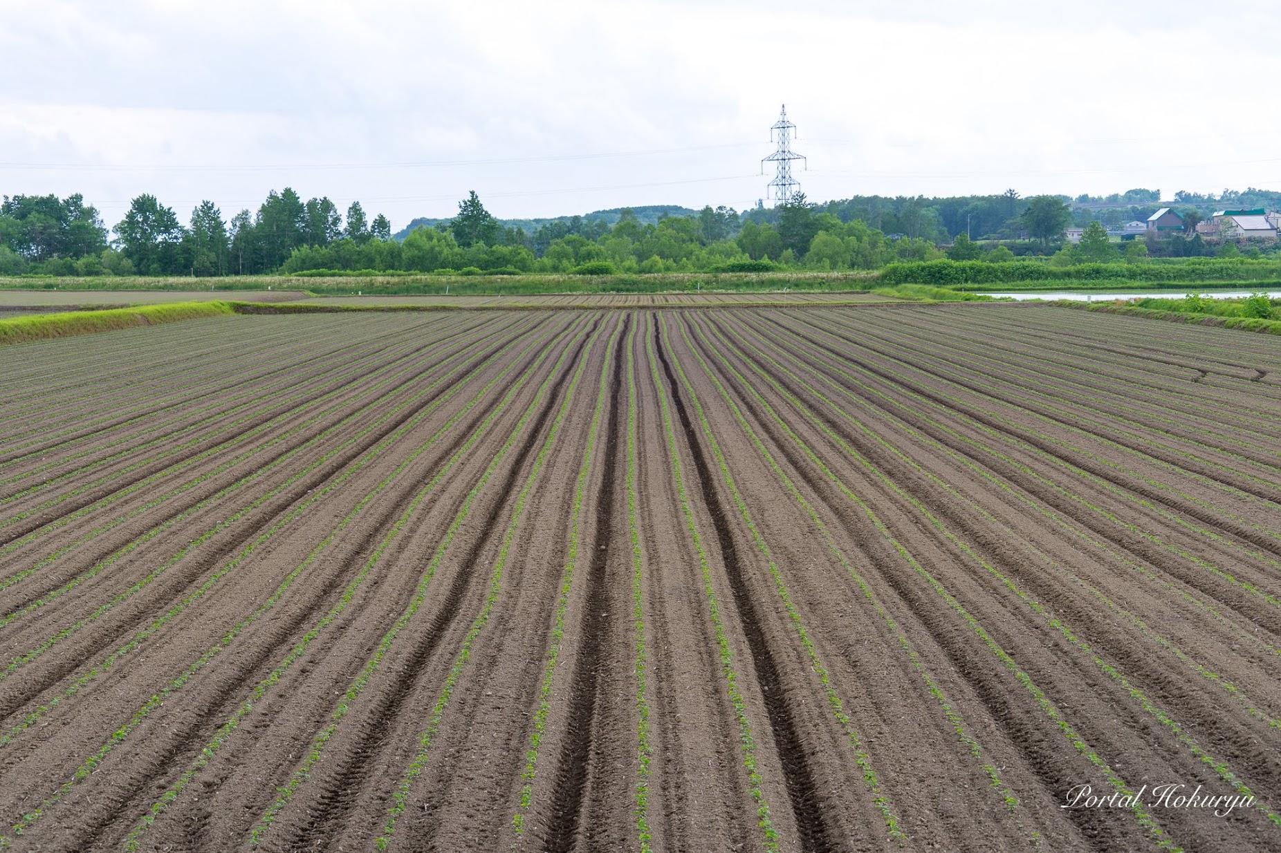 Kekuatan bumi untuk menumbuhkan kehidupan