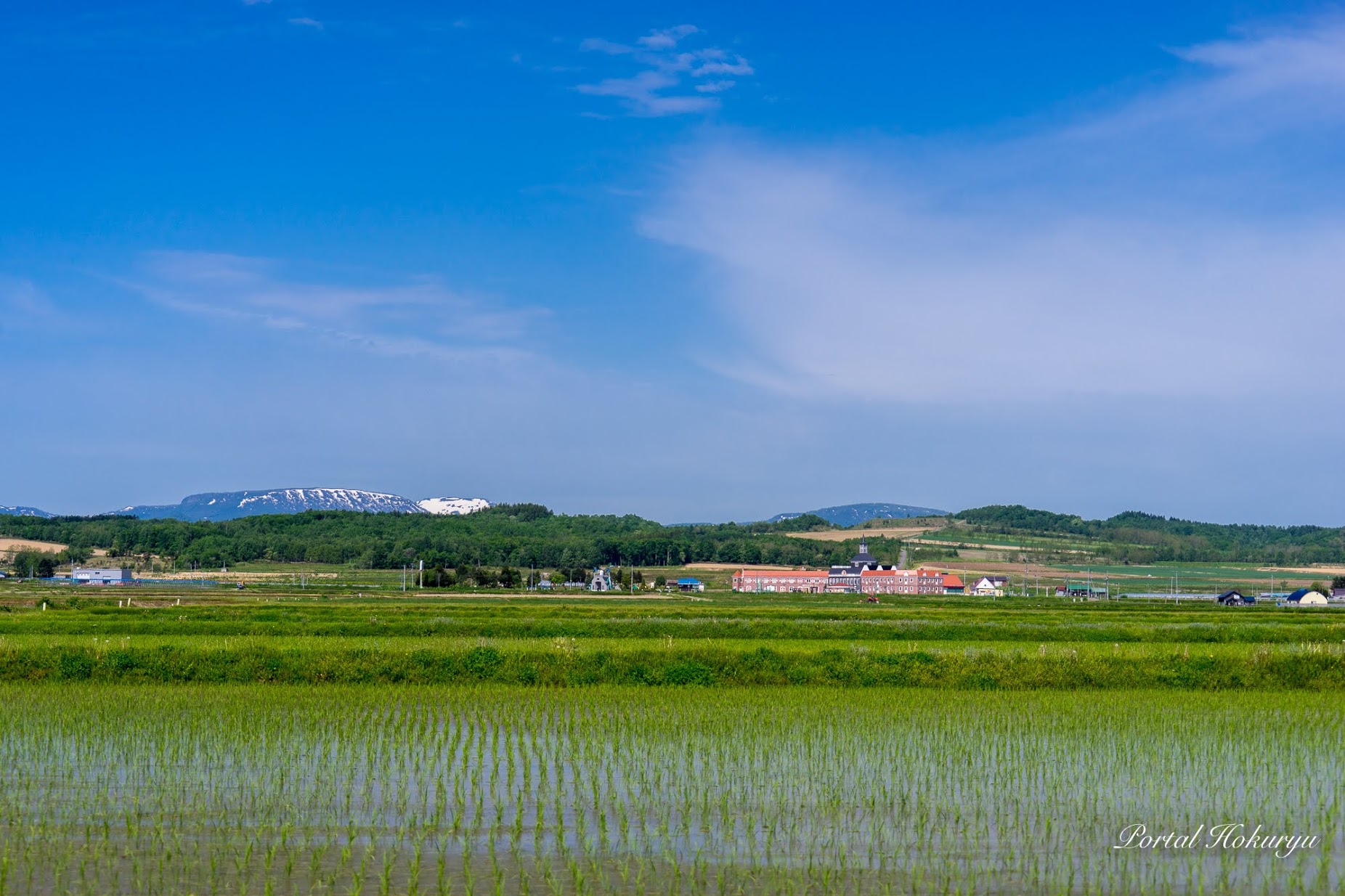 「芒種」の季節風景