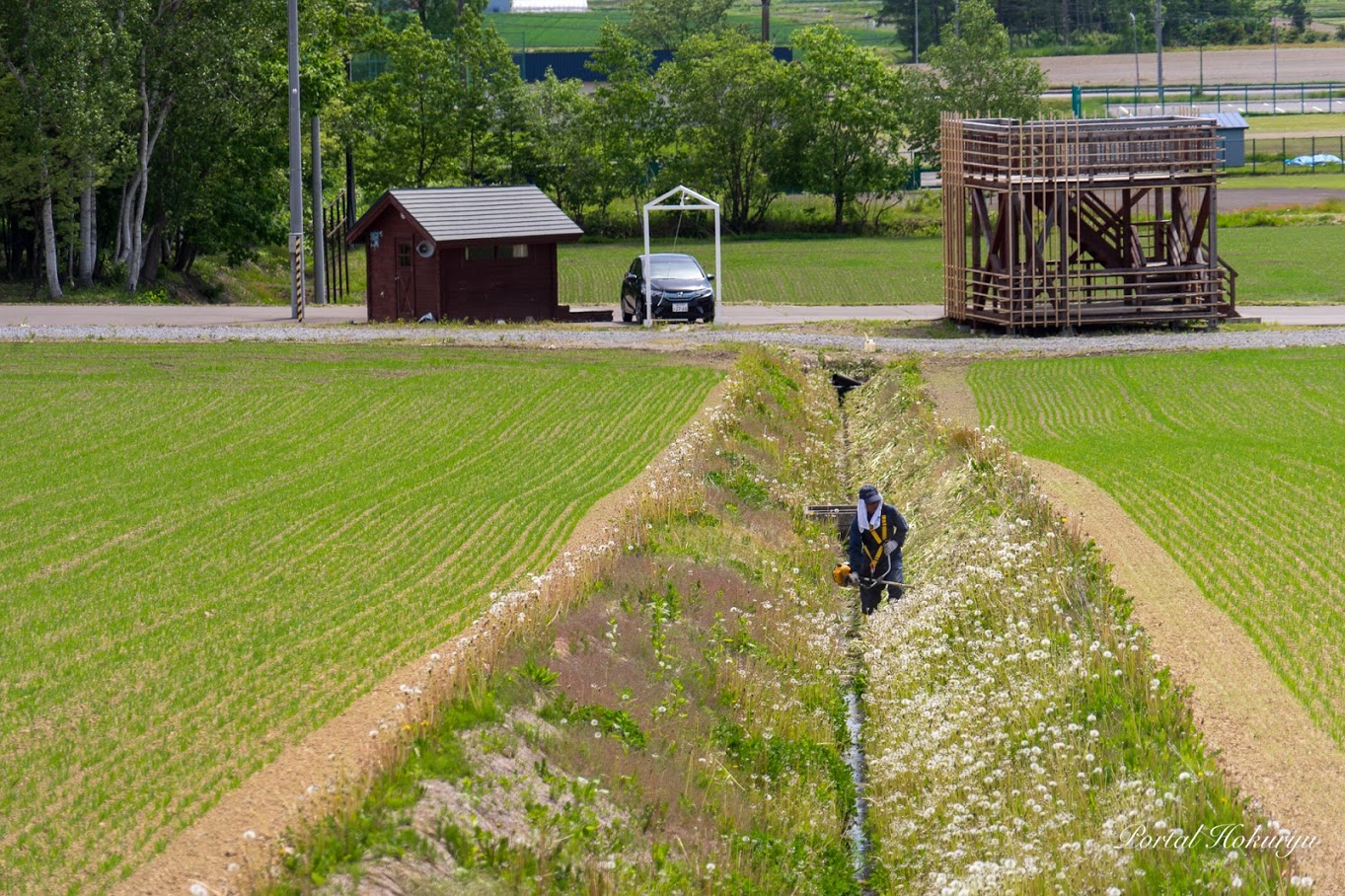ひまわりの里の大地のお手入れ