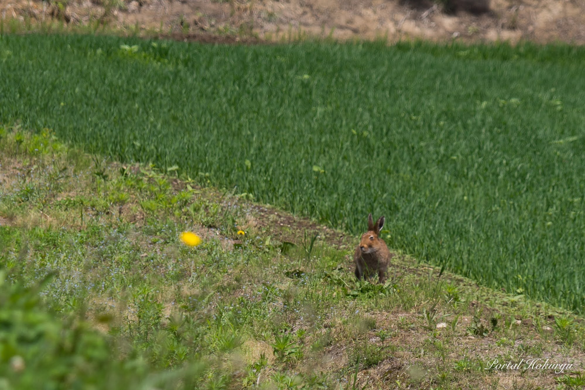 幸せの小さな光きらめく瞬間！