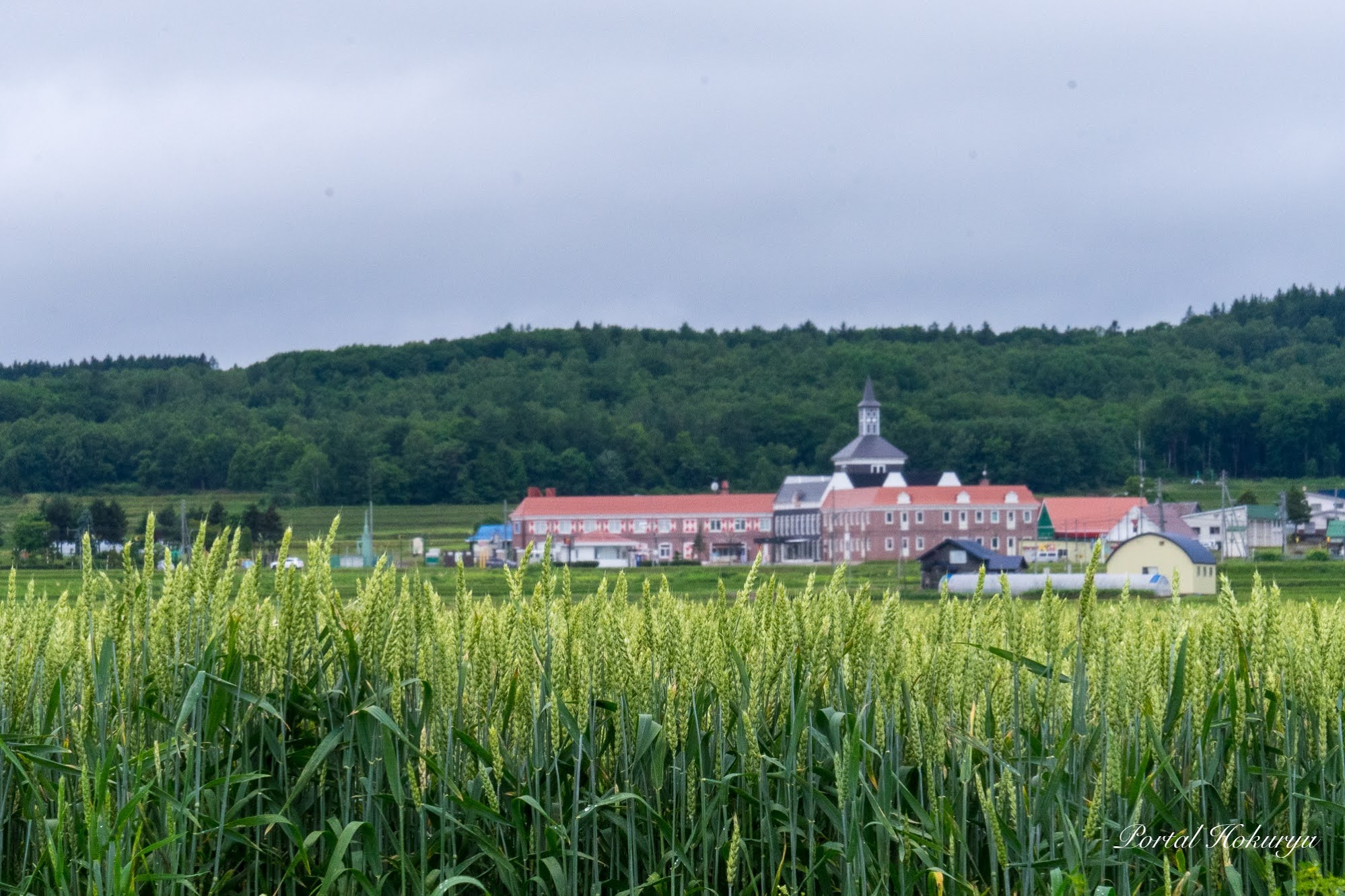 Mata air panas Beiryu dan ladang gandum