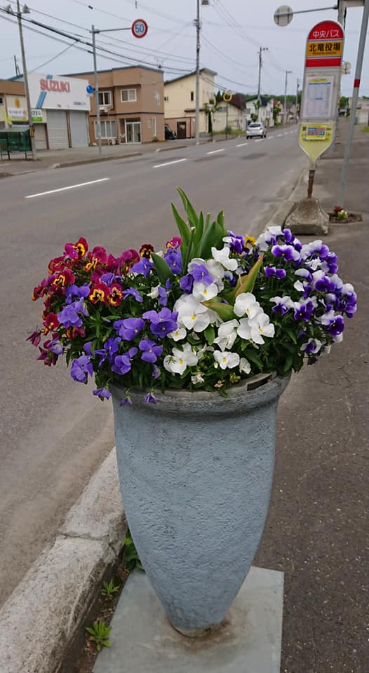 北竜町長 佐野豊 活動報告・6月10日（水）終日職員と打ち合わせ・事務書類整理