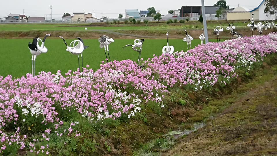 北竜町長 佐野豊 活動報告・7月7日（火）工事入札「和地区簡易水道事業他4件」