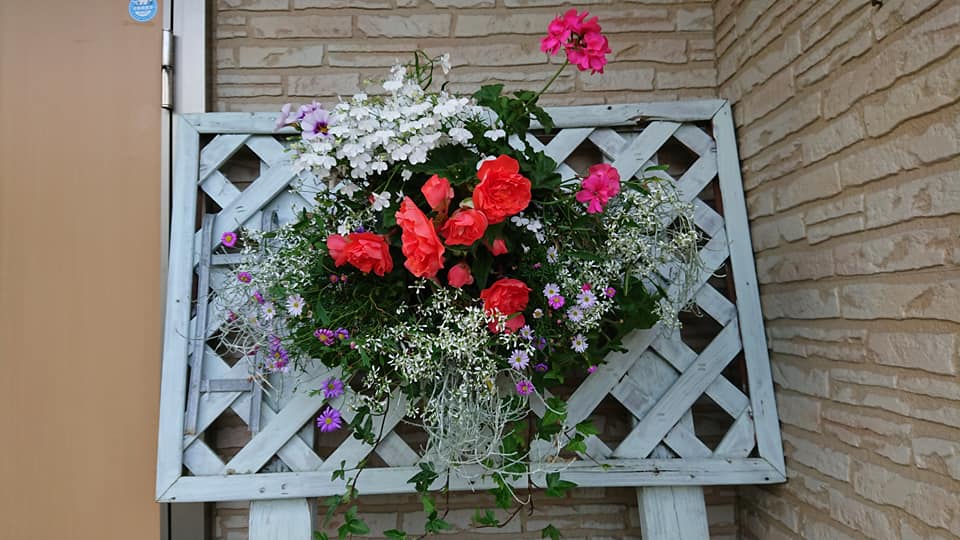 北竜町長 佐野豊 活動報告・7月9日（木）ひまわり観光大使 鈴木輝隆氏来訪