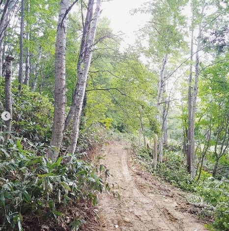 道つけ before after 2【自然下・上井達矢さん仁美さん】