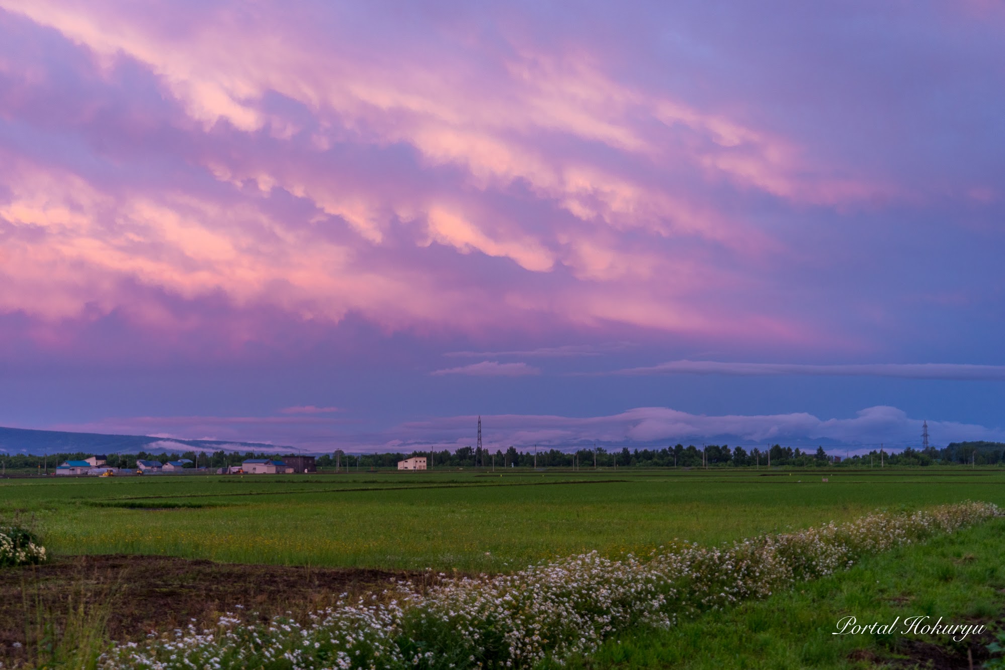 ピンクに滲む夕暮れの空