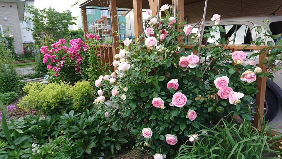 北竜町長 佐野豊 活動報告・7月6日（月）北竜町議会・正副議長と打ち合わせ