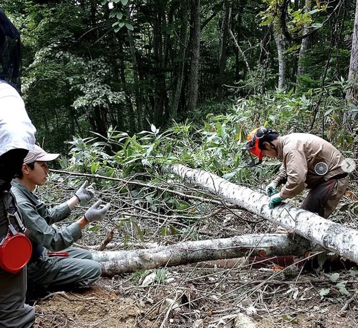 食欲の秋：山はラクヨウ(ハナイグチ)だらけ。手入れされた山はきのこが